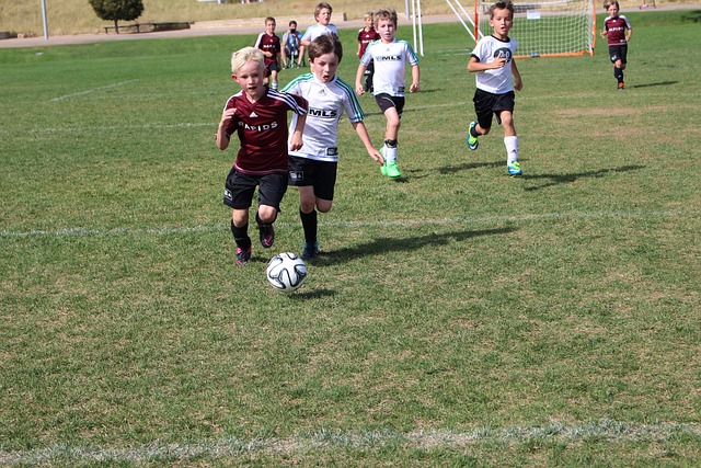 詹姆斯的儿 詹姆斯的儿