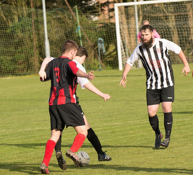 絕對亮點 絕對亮點