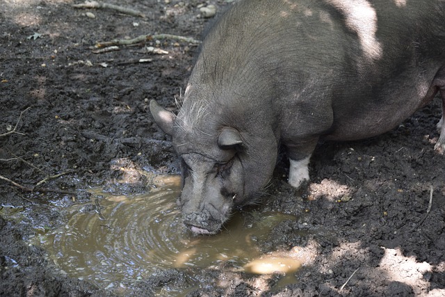 回顧過去 回顧過去
