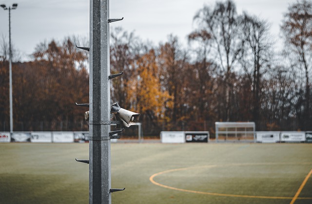 以期在拜仁 以期在拜仁