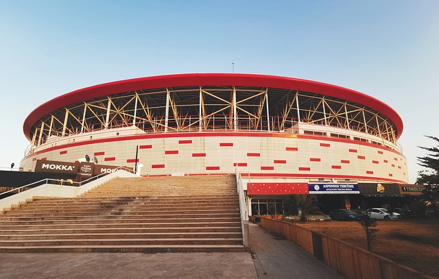 每一位球员 每一位球员