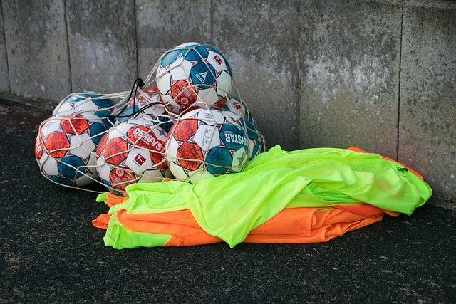 的肉质和口 的肉质和口