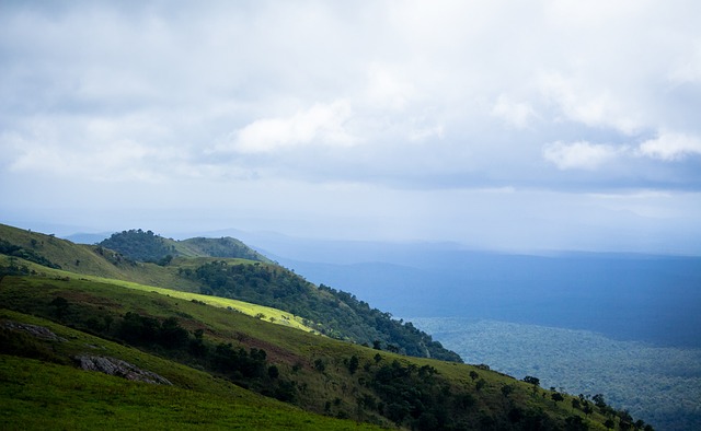 伊藤美诚以 伊藤美诚以