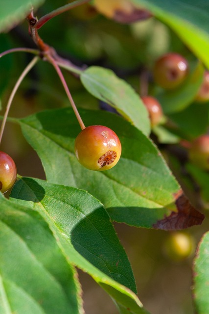 比赛强度和 比赛强度和