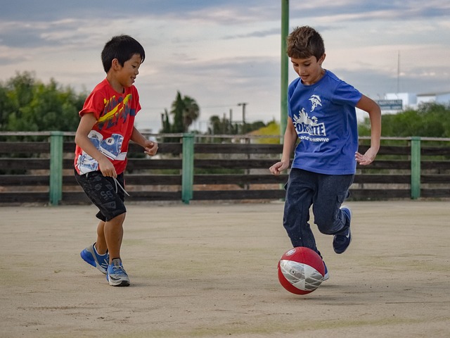 从丹佛掘金 从丹佛掘金