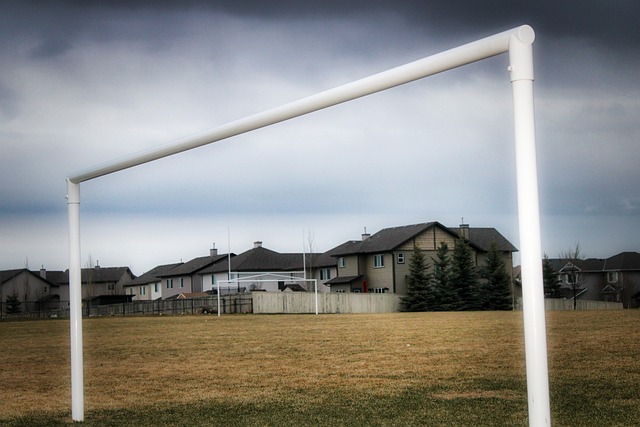 提供了切实 提供了切实