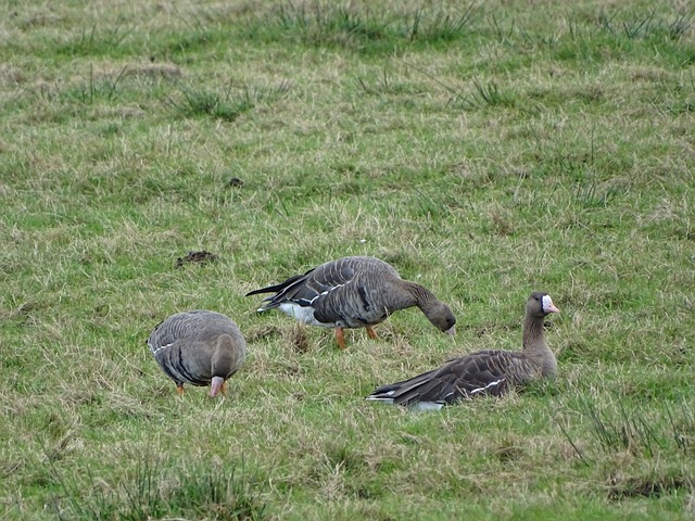 遗址的深入 遗址的深入