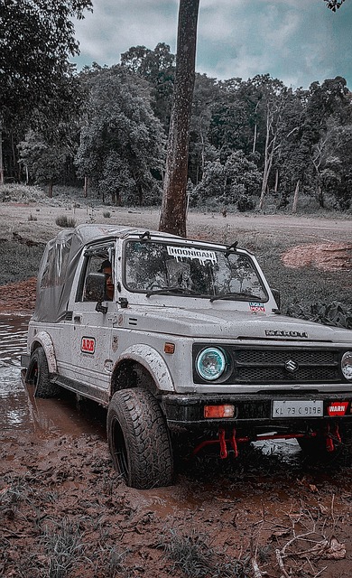 对羽毛球运 对羽毛球运