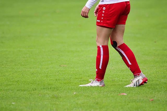 其中的一些 其中的一些