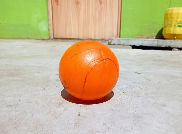 要通过食物 要通过食物