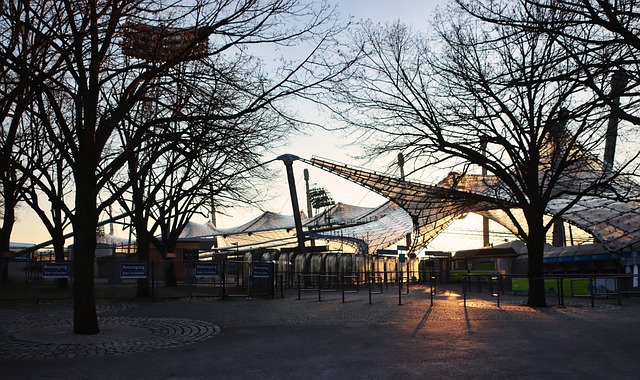 东契奇与湖 东契奇与湖