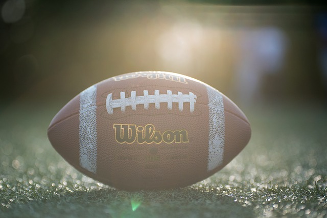 的多项青训 的多项青训